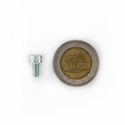 Picture of Hex Socket Cap Screw - Zinc Plated