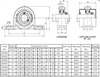 Picture of Pillow Block Bearing