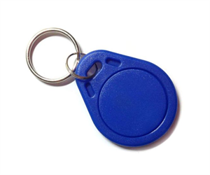 Picture of KEYCHAIN / FOB RFID TAG TK4100 125KHz