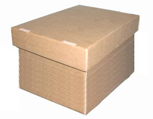 Picture of BOX SQU 2P A4 INT=300x215x220mm DIE / PRINTED