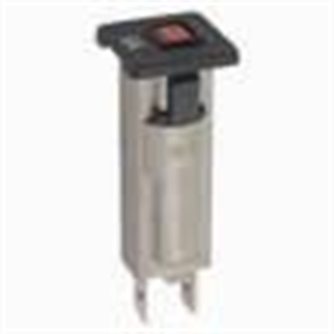Picture of CIRCUIT BREAK P/MNT 250VAC 6A